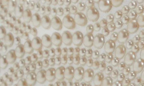 Clovver Sneaker - Image 8