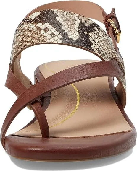 Cole Haan Anica Lux Block Heel Sandals Women's Sandals Sandollar Print Soho Snake/Brown Leather : 7 B - Medium - Image 2