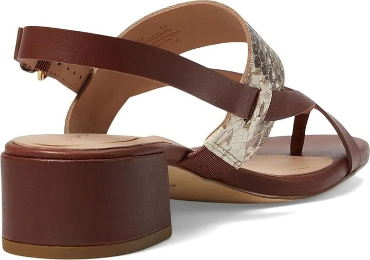 Cole Haan Anica Lux Block Heel Sandals Women's Sandals Sandollar Print Soho Snake/Brown Leather : 7 B - Medium - Image 4