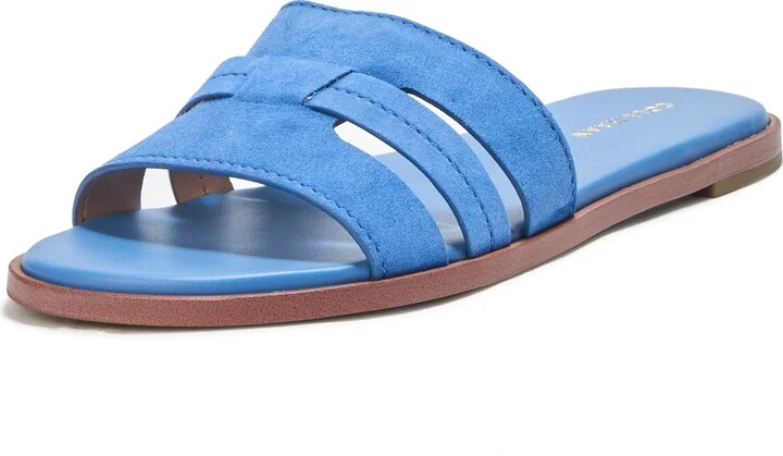 Dutch Blue Sde