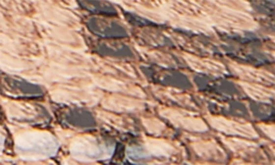 Confidant Snakeskin Print Mary Jane Flat - Image 7