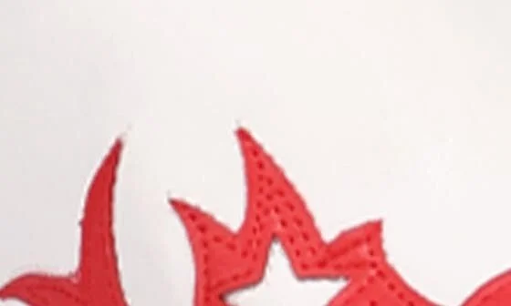 Cowgirl Western Boot - Image 9
