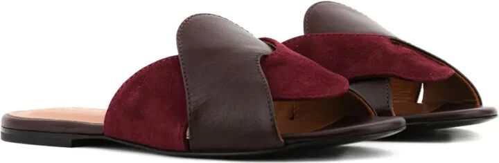 Crossover Slides - Image 2