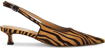 Brown Zebra