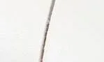 Cushion Spring Sandal - Image 6