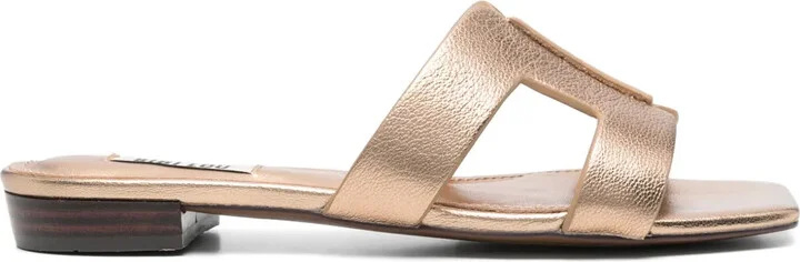 Dahlia slides