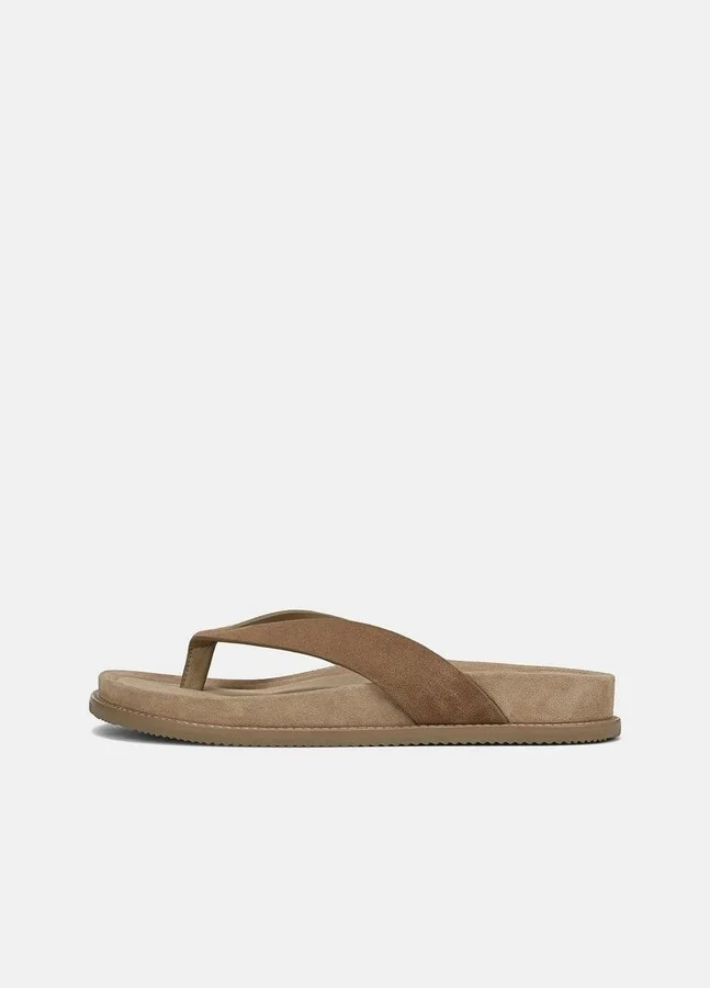 New Camel