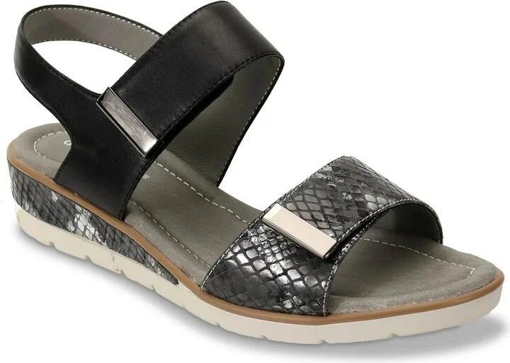 Black Snake Print