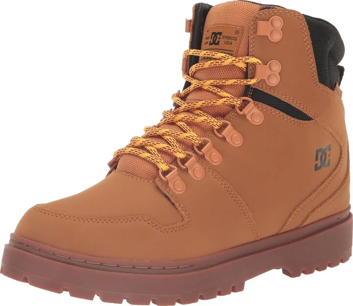 DC Men's Peary TR Snow Boot