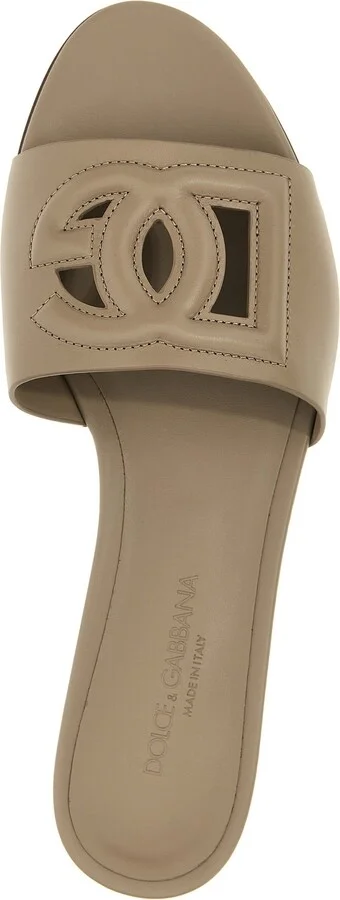 'dg' Slides - Image 4