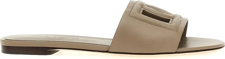 'dg' Slides
