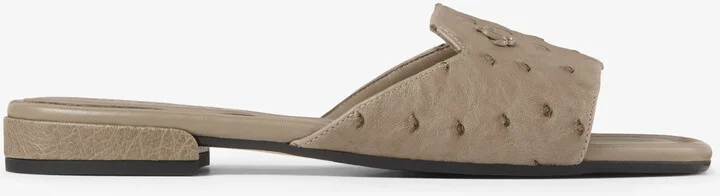 Dina Flat