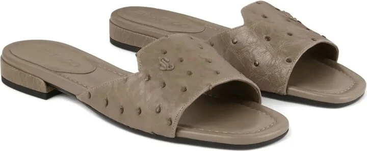 Dina slides - Image 2