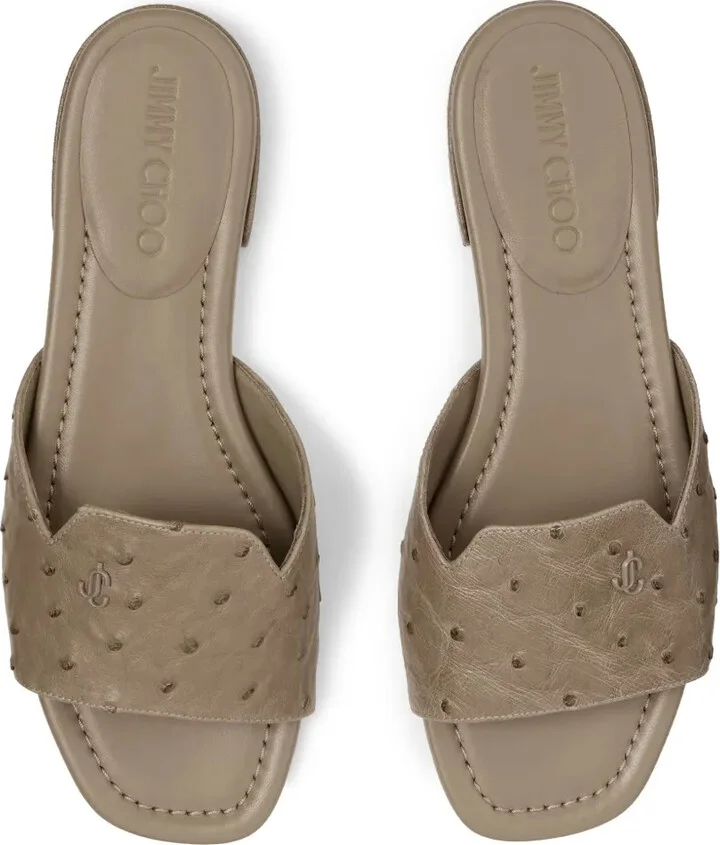 Dina slides - Image 4
