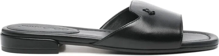 Dina slides