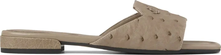 Dina slides