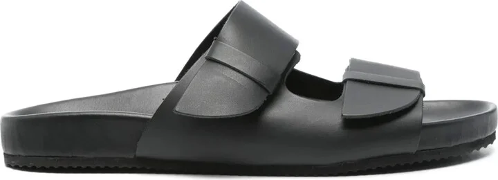 Diogenis slides