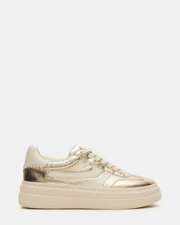 Champagne Multi