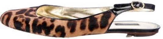Animal Print, Brown