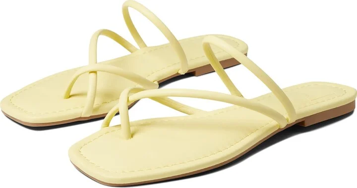Daffodil Stella