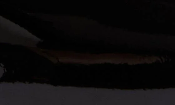 Dolly Pump - Image 7