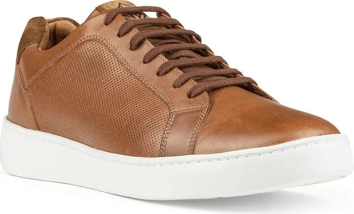 Saddle Brown