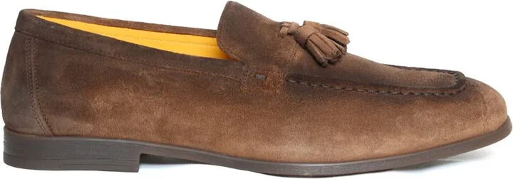 Doucal's Mocassin