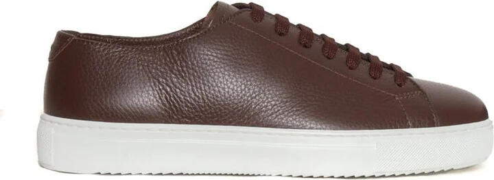 Doucal's Sneaker