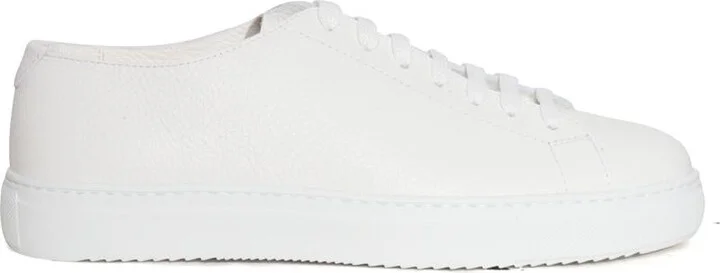 Doucal's Sneaker