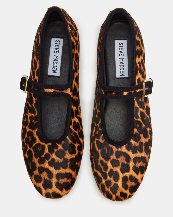 Dreaming Leopard - Image 5