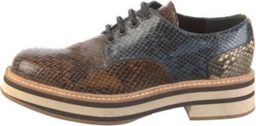 Animal Print, Blue, Brown