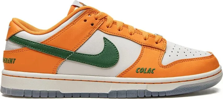 Dunk Low "Florida A&M" sneakers