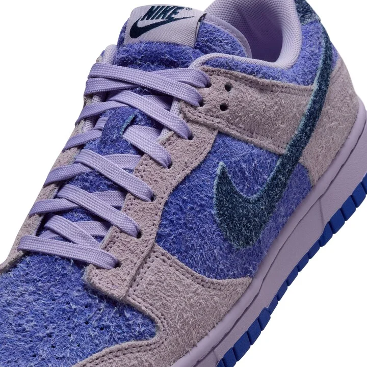 Dunk Low SE Basketball Sneaker - Image 8