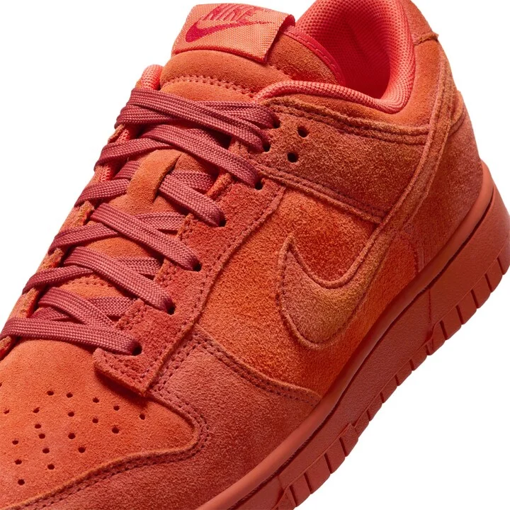 Dunk Low Special Edition Sneaker - Image 7