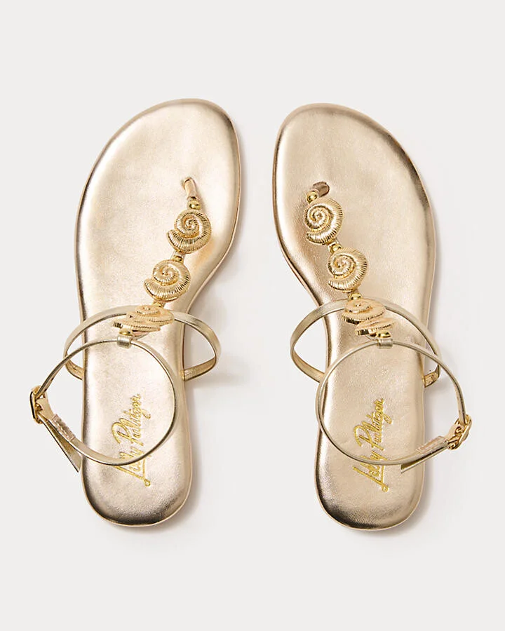 Dylann Sandal - Image 3