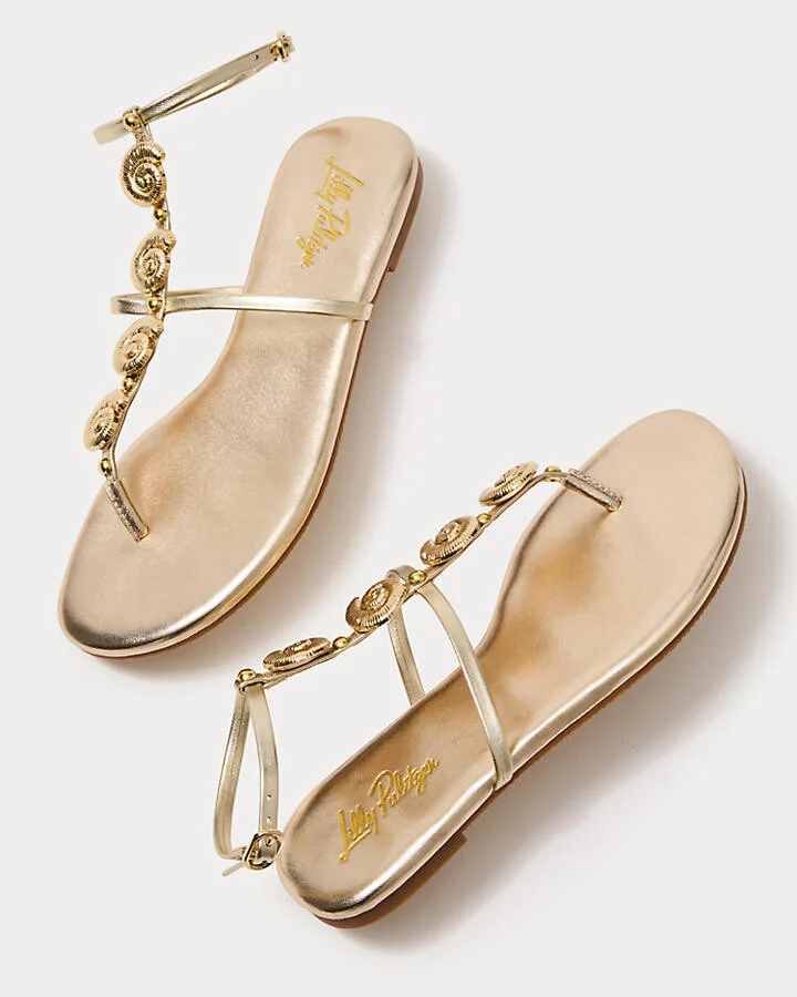 Dylann Sandal - Image 4