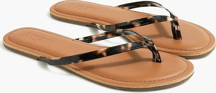 Tortoise  Shell