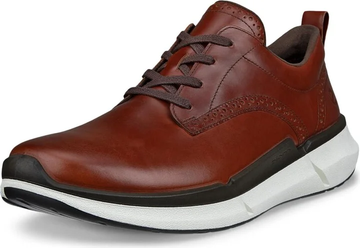 ECCO Men's Biom 2.2 Hybrid Sneaker