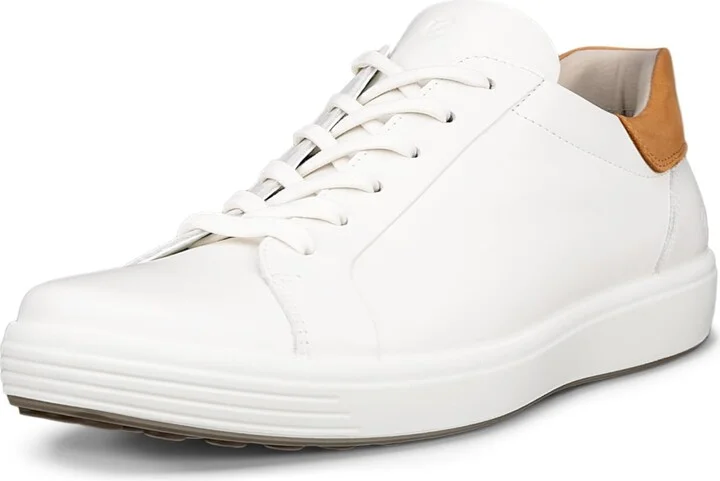 White/Lion