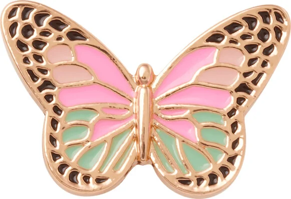 Elevated Colorful Butterfly