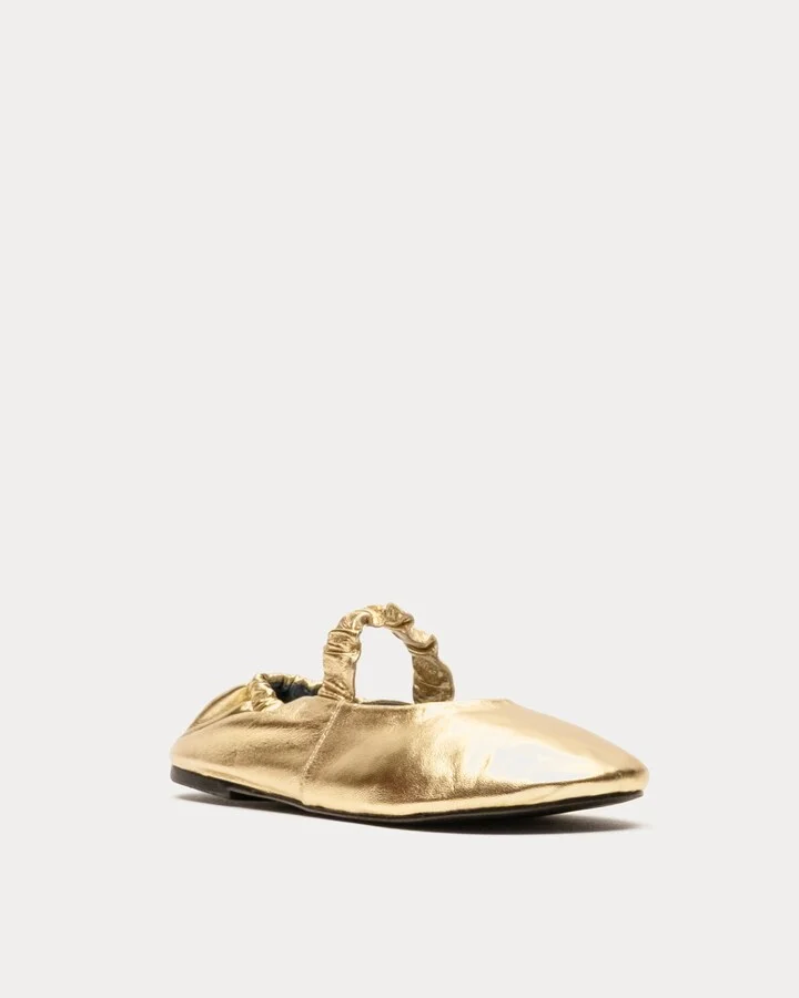 Eloise Ballet Flat - Platino