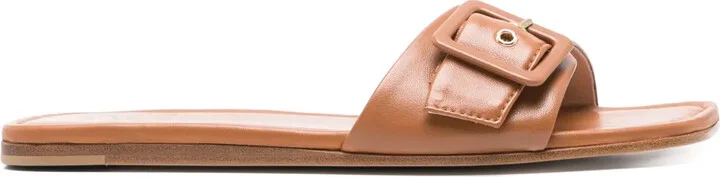 Elsy slides