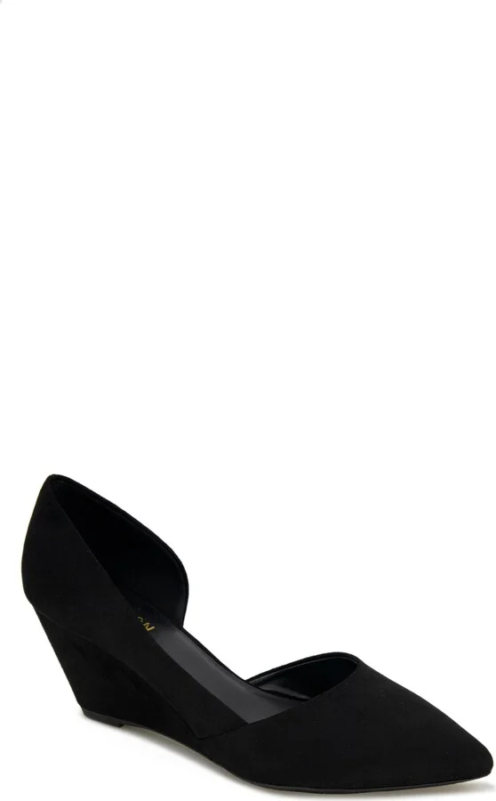 Eltinn Wedge Pump