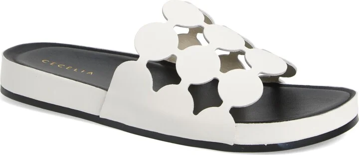 White/ Black