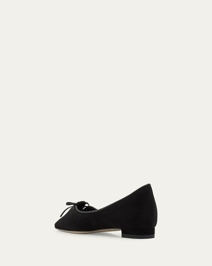 Esmaa Suede Lace-Up Ballerina Flats - Image 5