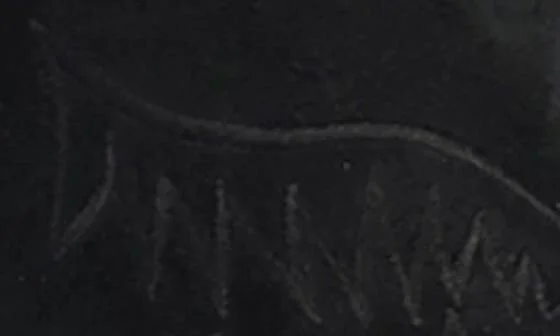 Evita Western Boot - Image 8