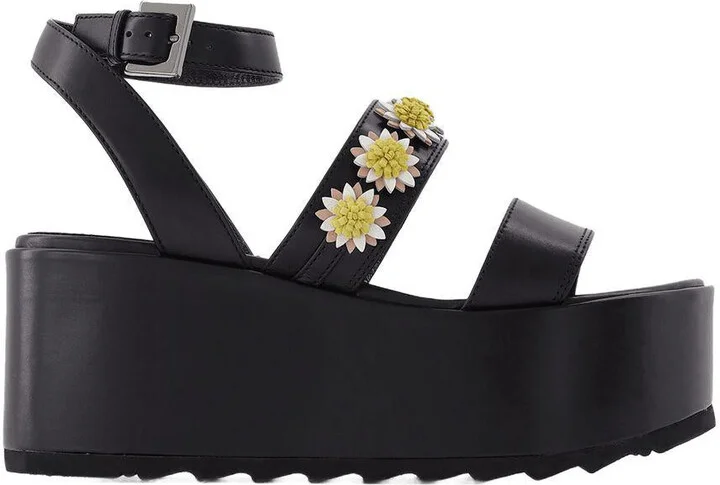 Fabrizio Viti Tima Platform