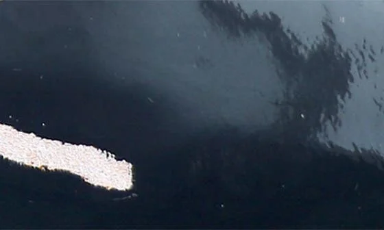 Ferris Flat - Image 7