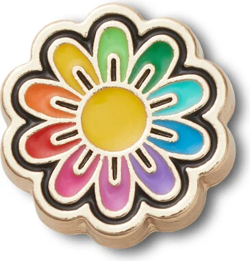 Festival Gold Rainbow Daisy