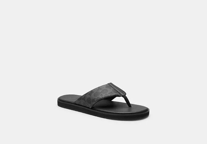 Flip Flop In Signature Canvas